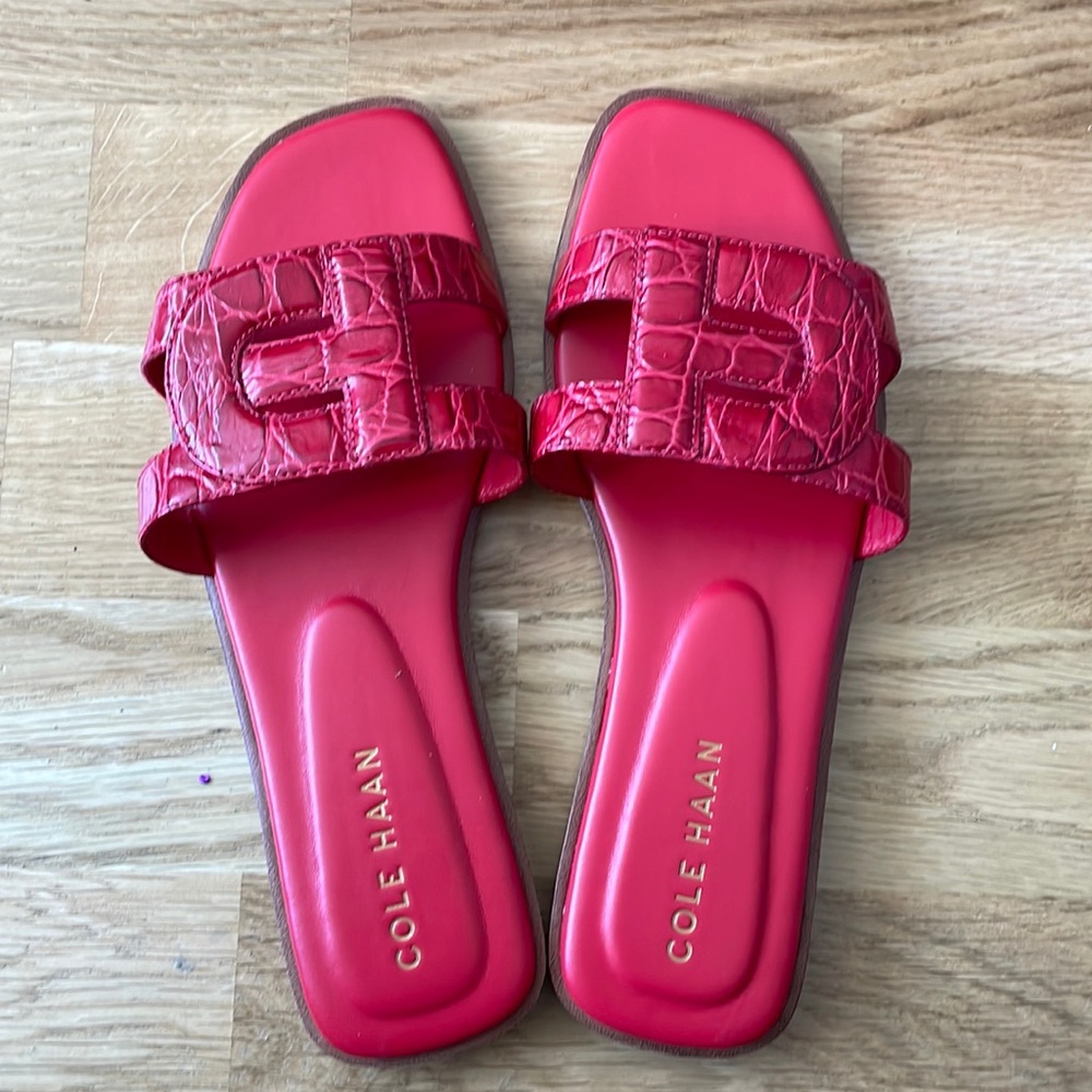 Brand New Cole Haan Women's Chrisee Slide Sandals Size 6B